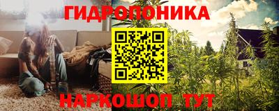 прущие крисы Кунгур