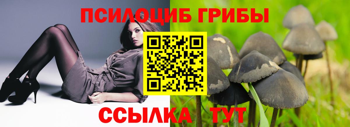 Псилоцибиновые грибы Psilocybine cubensis  Вход с VPN  Иваново 